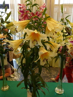 Foto: Dr. Peter Müller